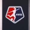 NWSL looks to capitalize on Team USA's Olympic success