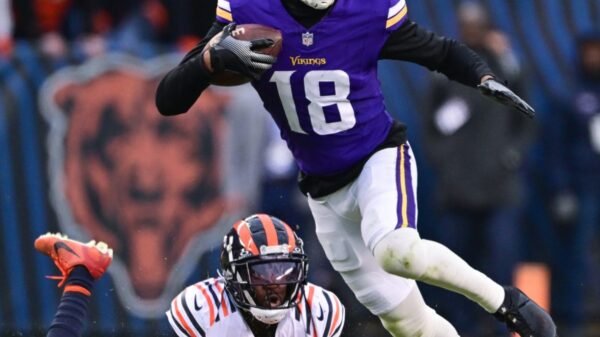 Chicago Bears vs. Minnesota Vikings Prediction and Picks - December 16, 2024