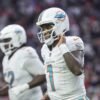 San Francisco 49ers vs. Miami Dolphins Prediction and Picks - December 22, 2024